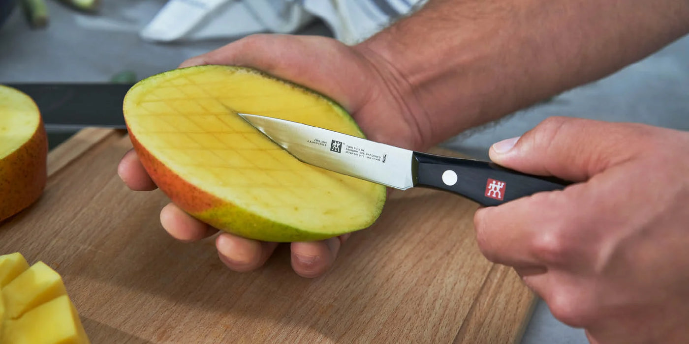 Zwilling Twin Signature 4-inch Paring Knife