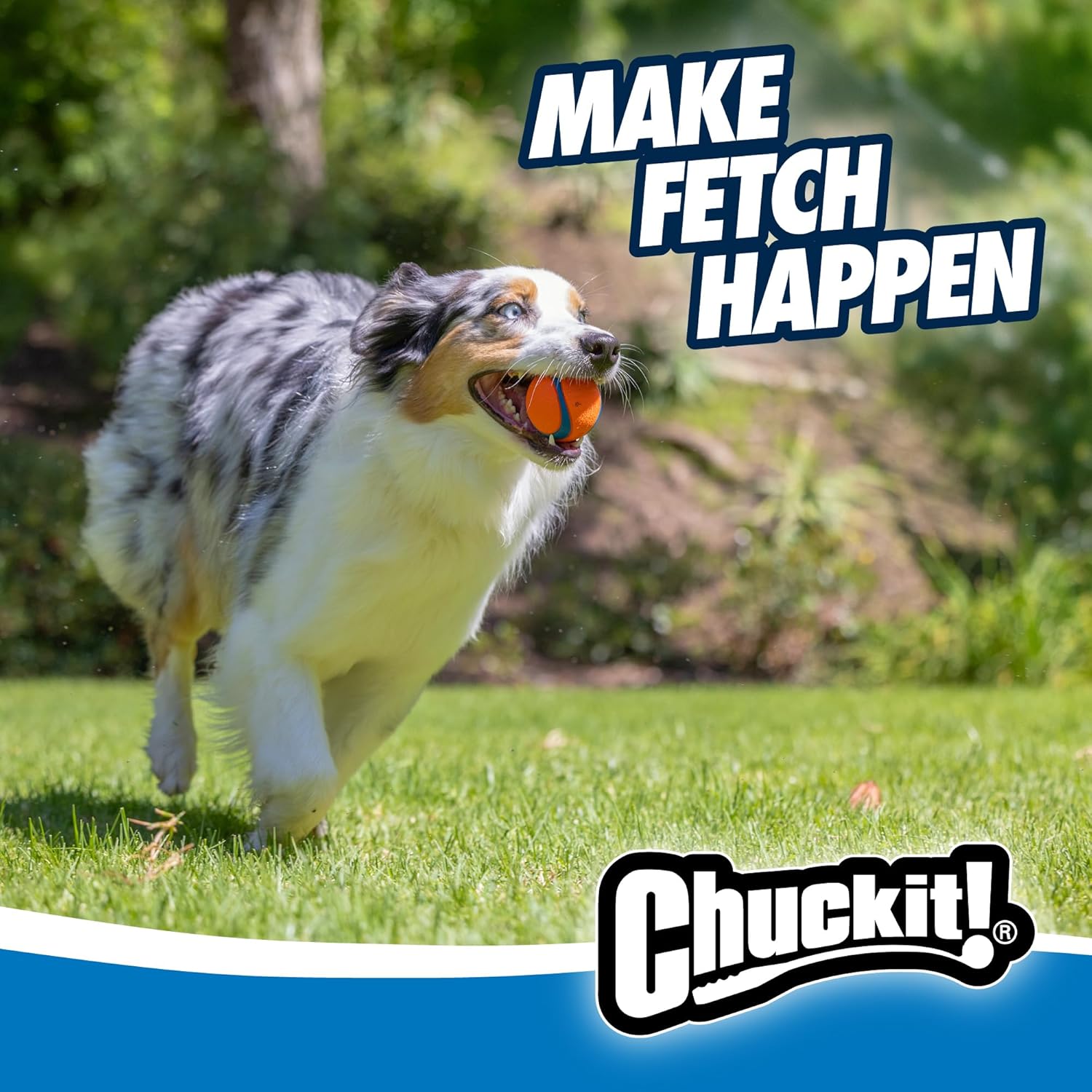 Chuckit! Ultra Ball Dog Toy 2 Pack - Small / Medium
