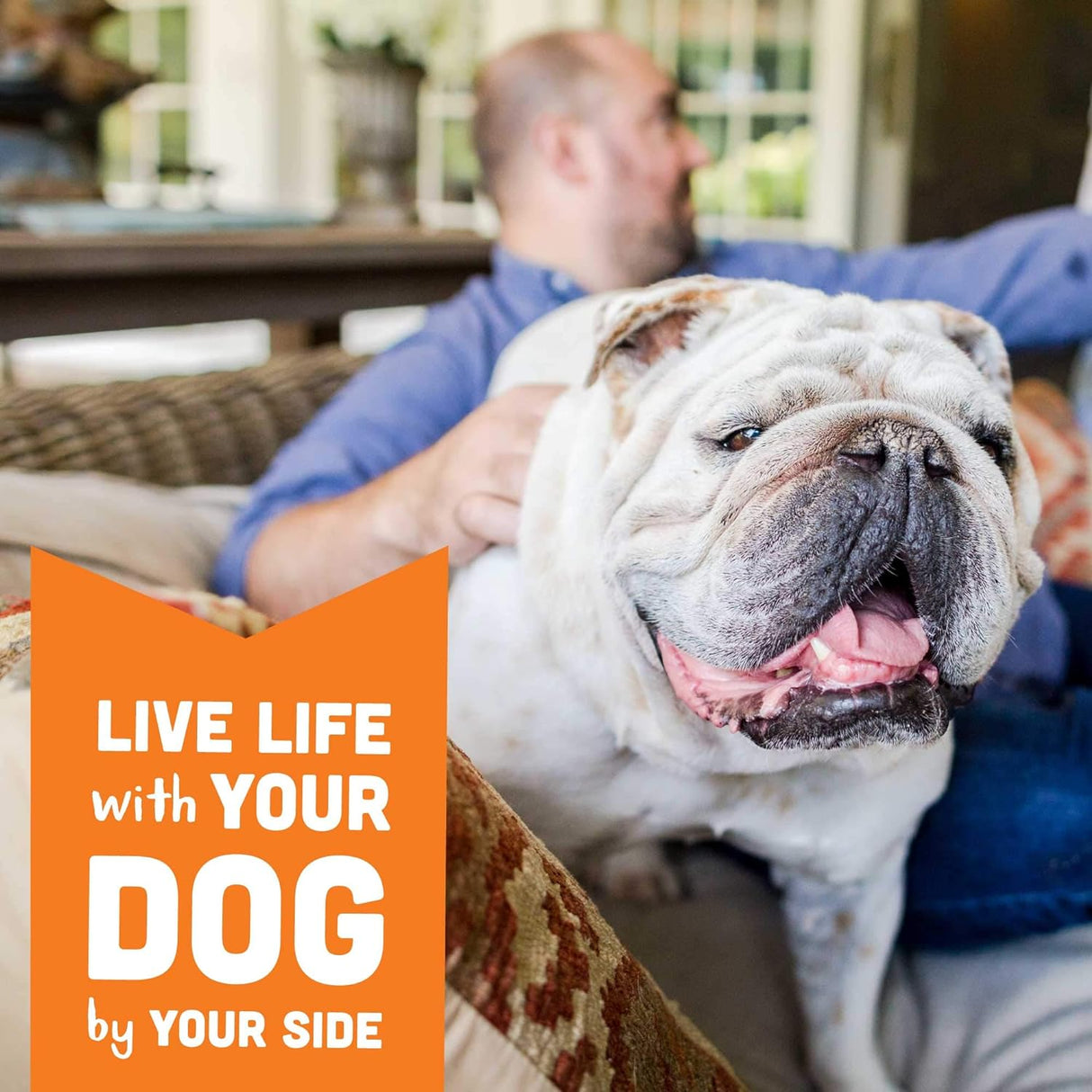 Cloudstar Wag More Bark Less Grain Free Mini Dog Biscuits (Peanut Butter & Apples) - 7oz