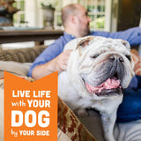 Cloudstar Wag More Bark Less Grain Free Mini Dog Biscuits (Peanut Butter & Apples) - 7oz