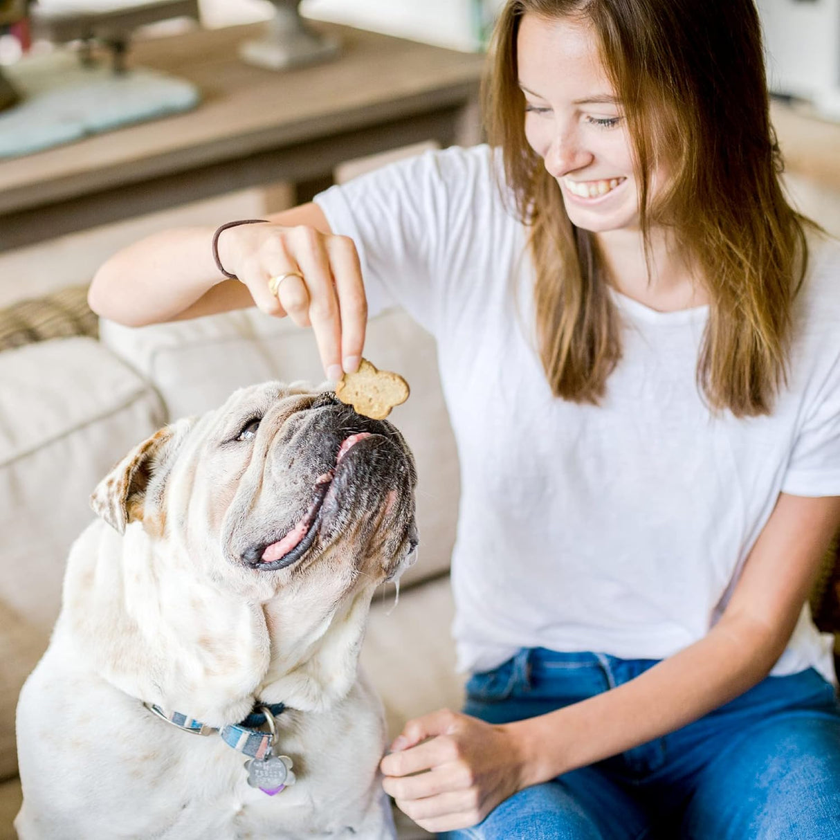 Cloudstar Wag More Bark Less Grain Free Oven Baked Dog Biscuits (Peanut Butter & Apples) - 14oz