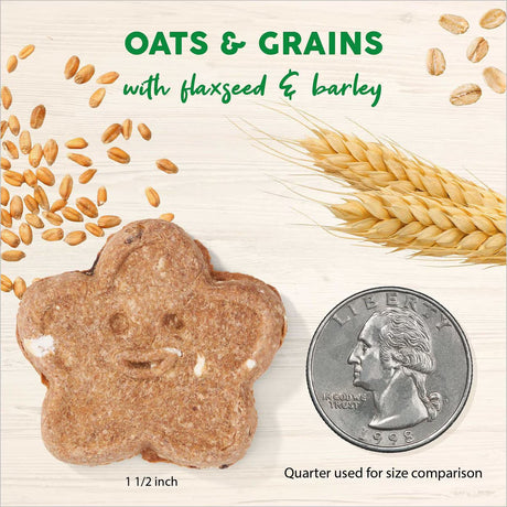 Cloudstar Wag More Bark Less Oven Baked Dog Biscuits (Chicken & Carrots) - 3lbs