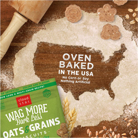 Cloudstar Wag More Bark Less Oven Baked Dog Biscuits (Chicken & Carrots) - 3lbs