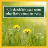 Mountain States Weed And Feed Fertilizer With Weed Control