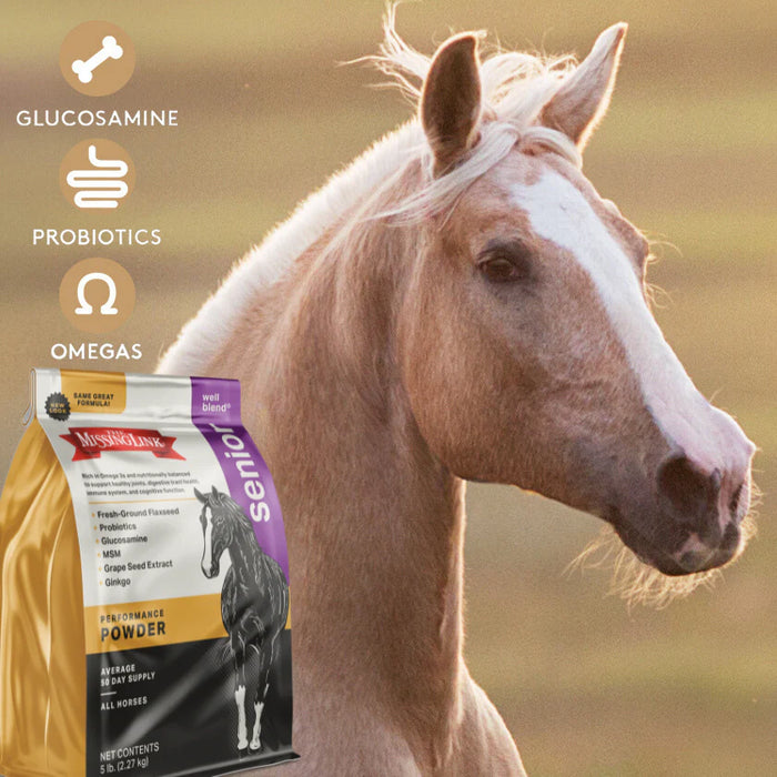 The Missing Link Well Blend Senior Equine Supplement Powder - 5lb.