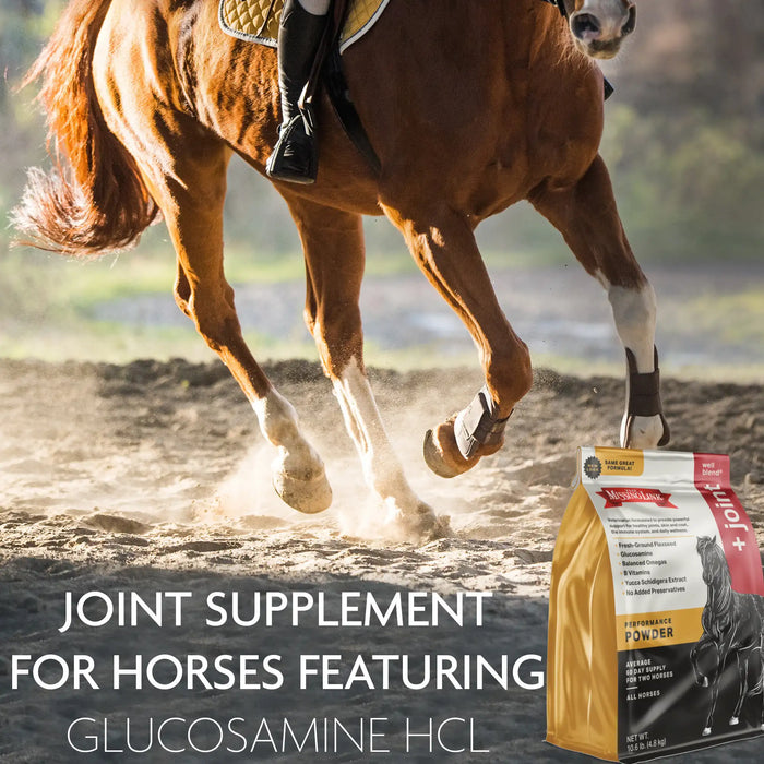 The Missing Link Well Blend + Joint Equine Supplement Powder - 10.6lb.