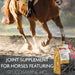 The Missing Link Well Blend + Joint Equine Supplement Powder - 5.3lb.