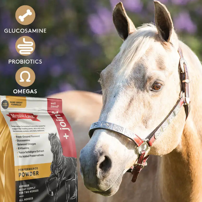 The Missing Link Well Blend + Joint Equine Supplement Powder - 10.6lb.