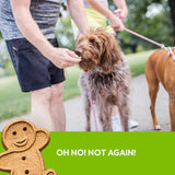 Buddy Biscuit Whole Grain Oven Baked Dog Treats (Roasted Chicken) - 16oz & 3.5lbs