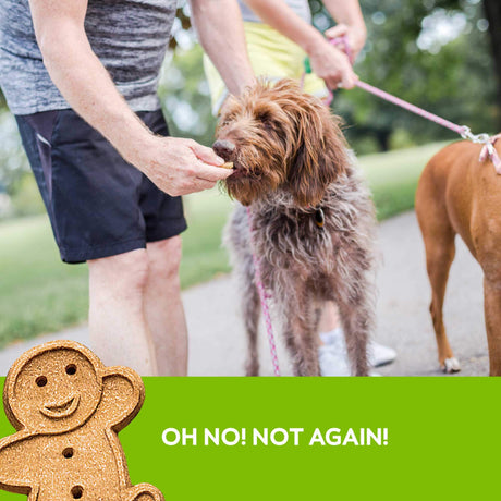 Buddy Biscuit Whole Grain Oven Baked Dog Treats (Roasted Chicken) - 16oz & 3.5lbs