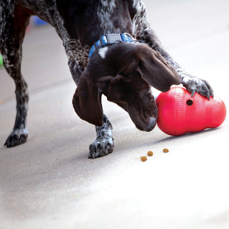 Kong Wobbler Food and Treat Dispenser Dog Toy -  Small