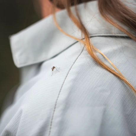 Royal Robbins Womens Expedition III Long Sleeve - White