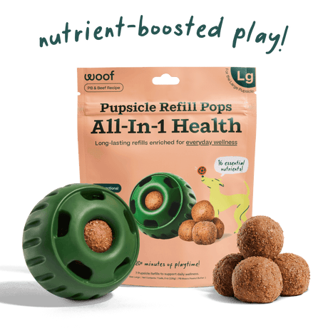 Woof Pet All-in-1 Wellness Pops - Small Beef /  / 10CT
