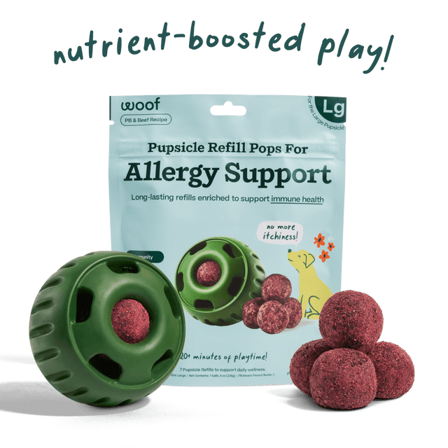 Woof Pet Allergy & Immunity Pops - Large Beef /  / 7CT