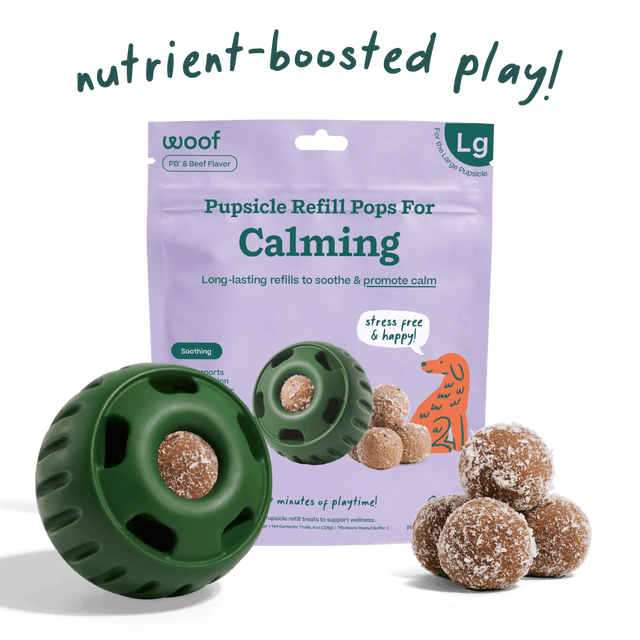Woof Pet Calming Wellness Pops - Large Beef /  / 7CT