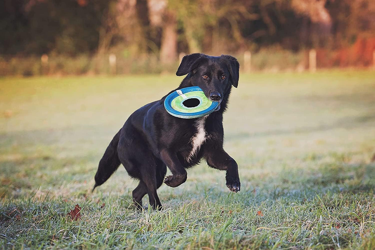 Chuckit! ZipFlight Max Glow Dog Toy - Medium