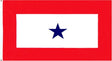 Ace World Blue Star 3x5' Flag