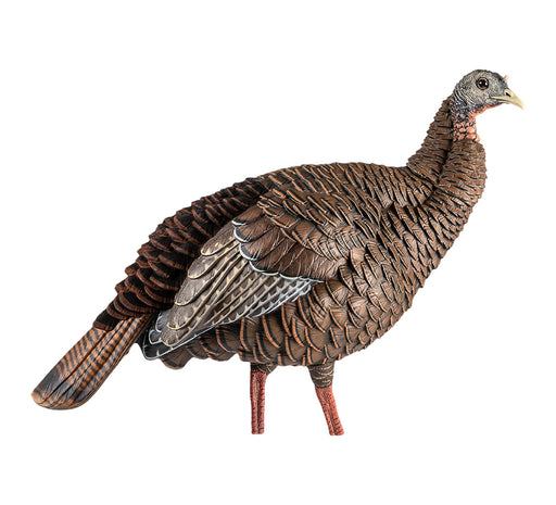 Zink Calls Avian-x Hdr Hen Decoy