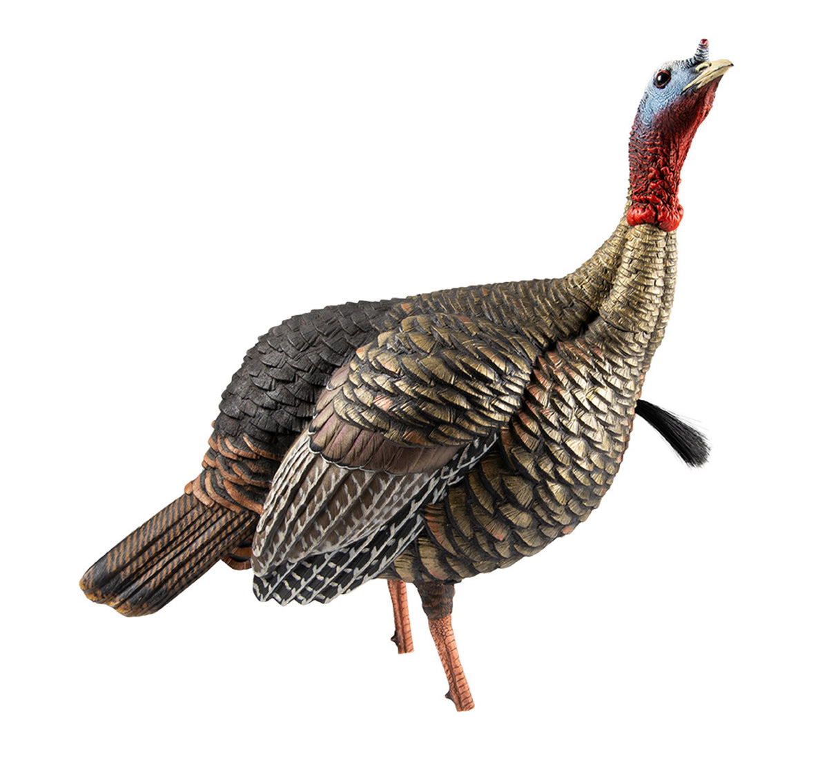 Zink Calls Avian-x Hdr Jake Decoy