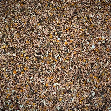 Hemptana Optimal Omega Laying Hen Feed - 25lbs