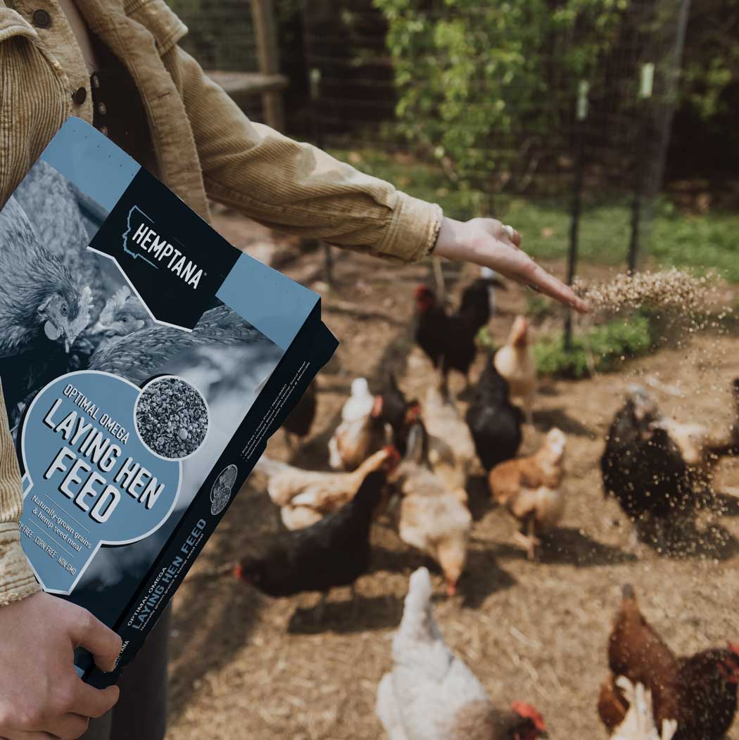 Hemptana Optimal Omega Laying Hen Feed - 25lbs