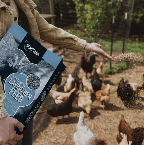 Hemptana Optimal Omega Laying Hen Feed - 25lbs
