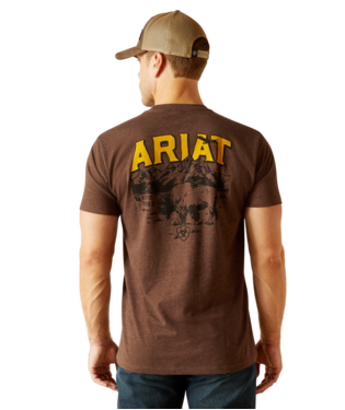Ariat Bison Sketch Shield T-Shirt Brown Heather /  / Regular