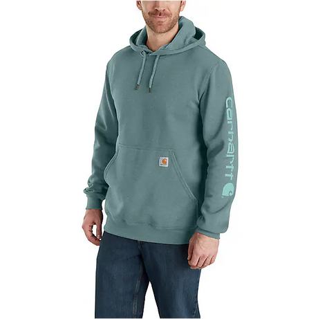 Carhartt Men's Loose Fit Midweight Logo Sleeve Graphic Hoodie ea Pine Heather / REG / S