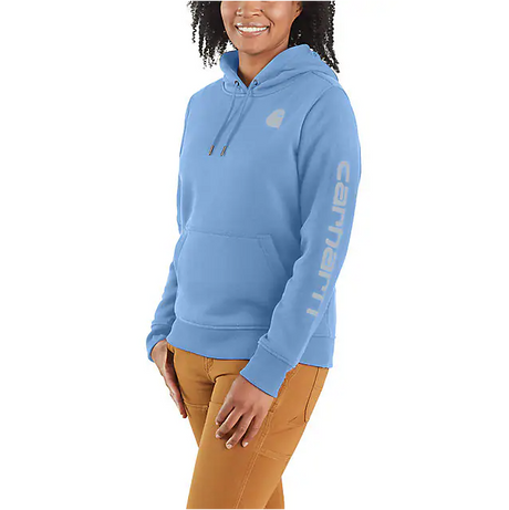 Carhartt Women's Relaxed Fit Midweight Logo Sleeve Graphic Hoodie kystone / REG / S