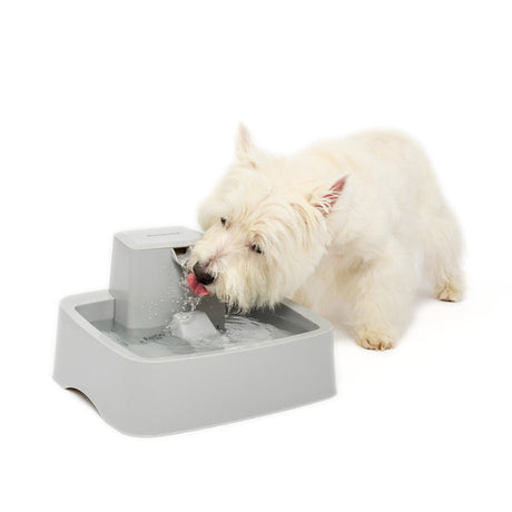 PetSafe Drinkwell 1 Gallon Pet Fountain