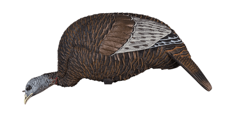 Flextone Calls Thunder Chick Feeder Decoy