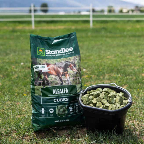 Standlee Premium Alfalfa/Timothy Cubes