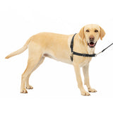 PetSafe Easy Walk No Pull Dog Harness Black / Silver