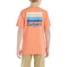 Carhartt Boy's Short Sleeve Color Block T-shirt Living coral