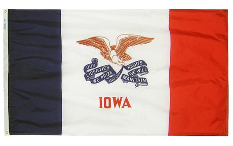 Ace World Iowa State 3x5' Flag