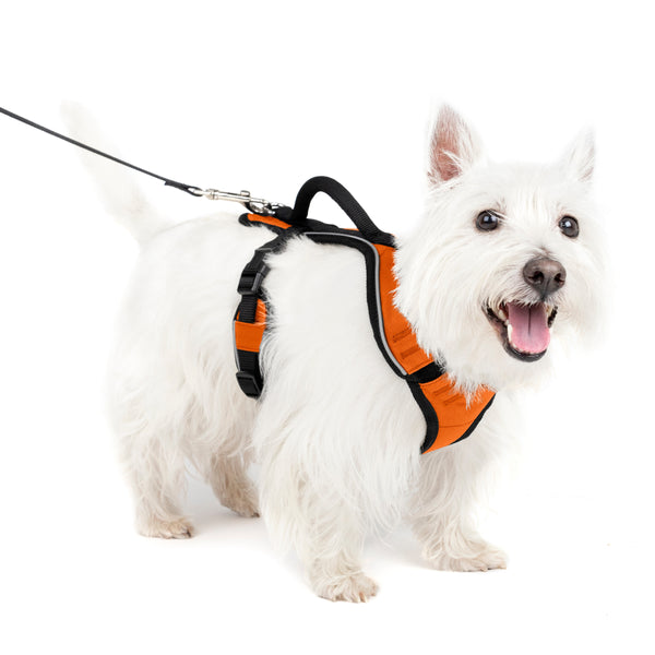PetSafe EasySport Harness Orange