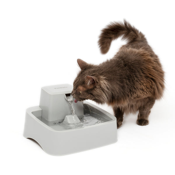 PetSafe Drinkwell 1/2 Gallon Pet Fountain