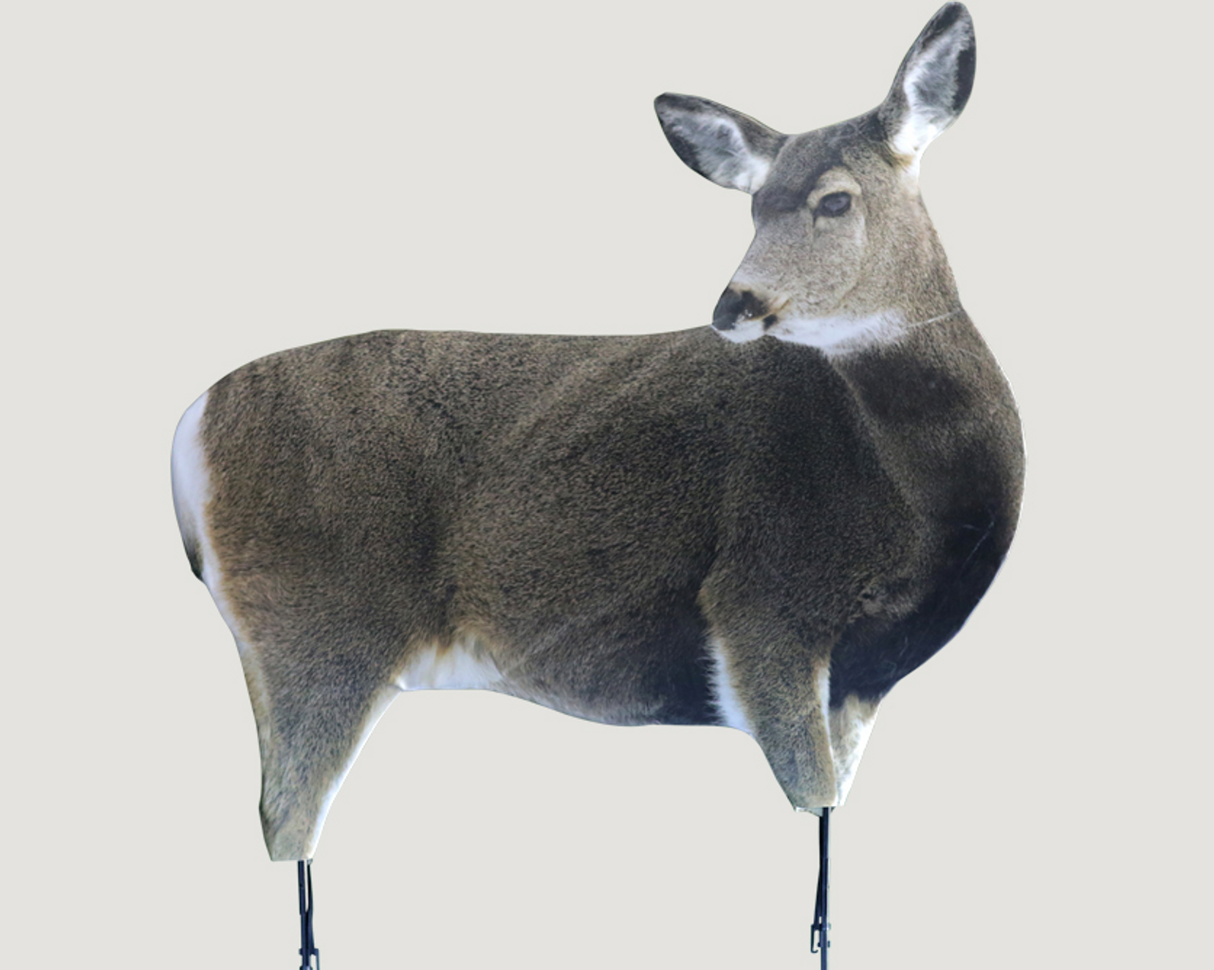 Montana Decoy Miss Muley Doe Decoy