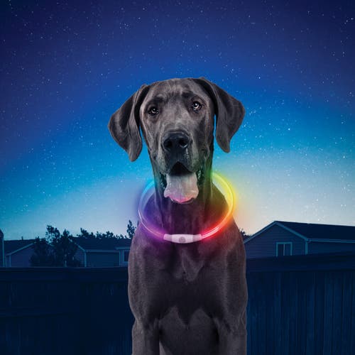 Nite Ize Nitehowl Recharge Led Safety Necklace - Disco Select Disco slct