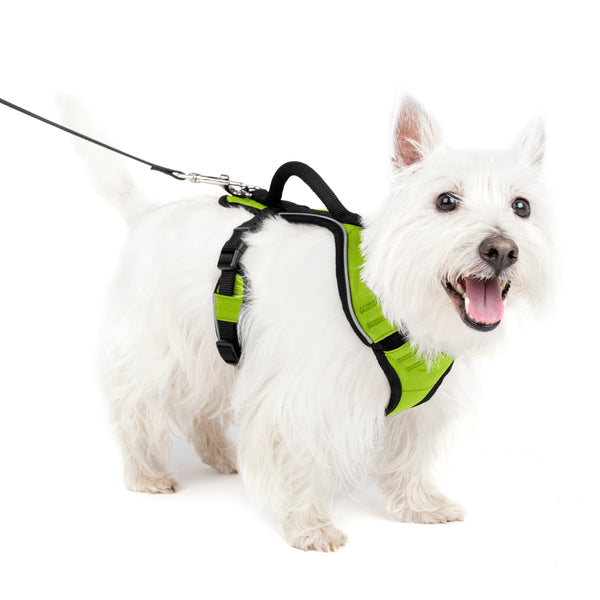 PetSafe EasySport Harness Apple Green