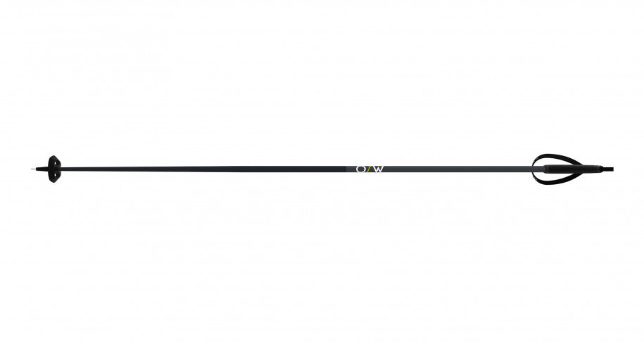 FISCHER BC Offtrack Nordic Ski Poles Black