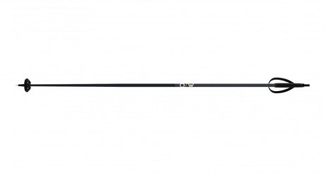 FISCHER BC Offtrack Nordic Ski Poles Black