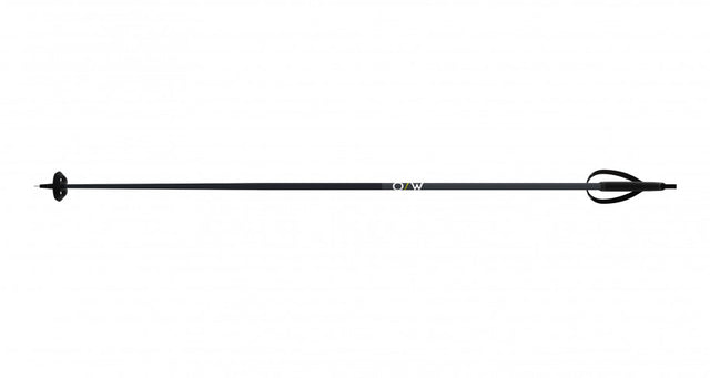 FISCHER BC Offtrack Nordic Ski Poles Black