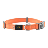 Browning Classic Webbing Collar Safety Orange