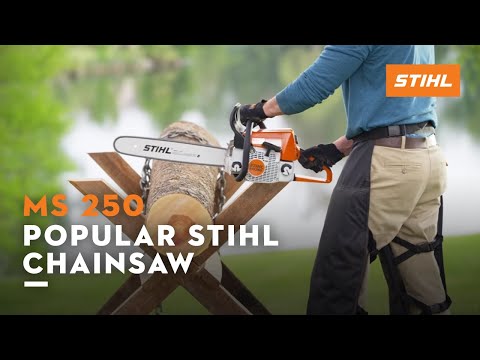 MS 250-Z Chainsaw (GAS)