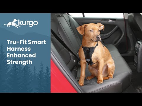 Enhanced Strength Tru-Fit Dog Car Harness