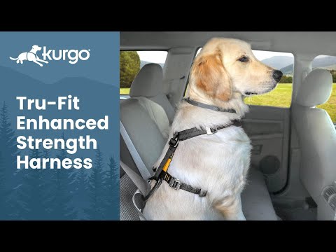 Enhanced Strength Tru-Fit Dog Car Harness