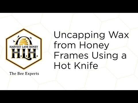 Beekeeping Electric Uncapping Knife - Single Temperature