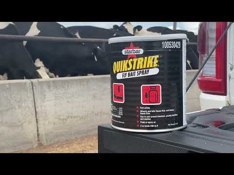 Starbar QuikStrike Fly Bait (1lb 5lbs1