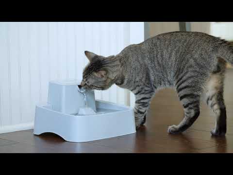 Drinkwell 1/2 Gallon Pet Fountain